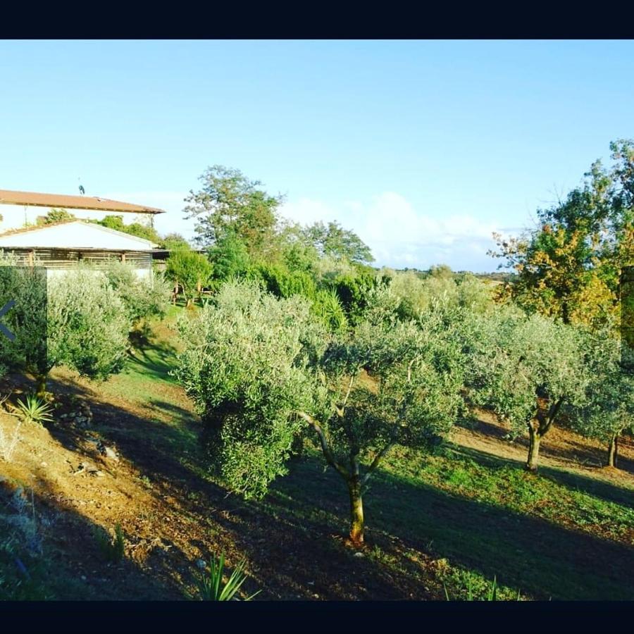 Agriturismo Colleverde Capalbio Exterior photo