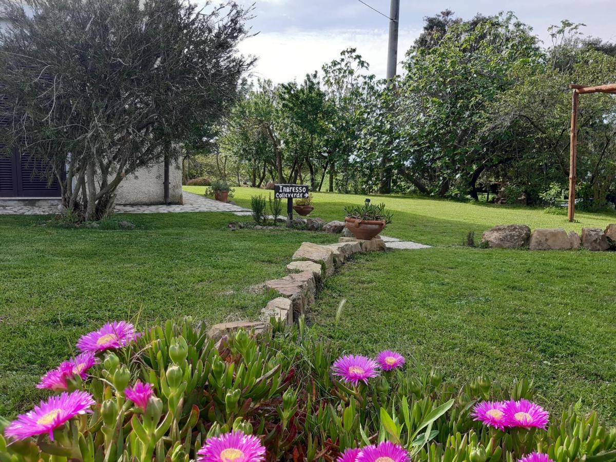 Agriturismo Colleverde Capalbio Exterior photo