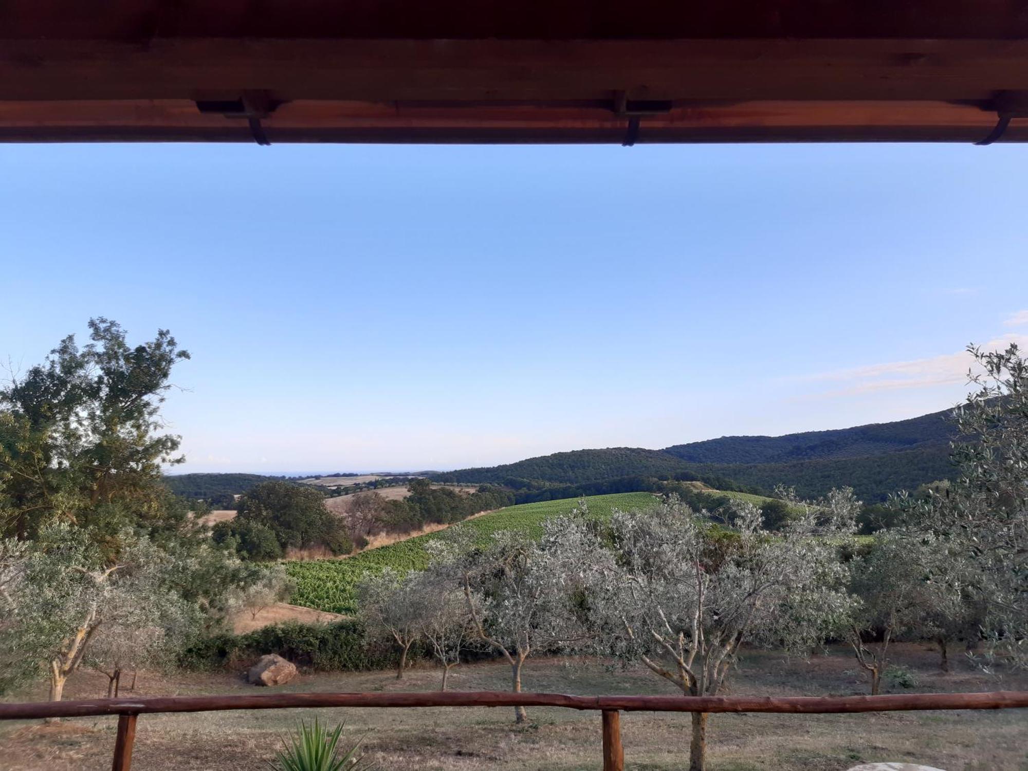 Agriturismo Colleverde Capalbio Room photo